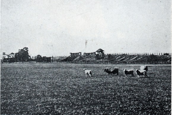 View of Rayners Lane station